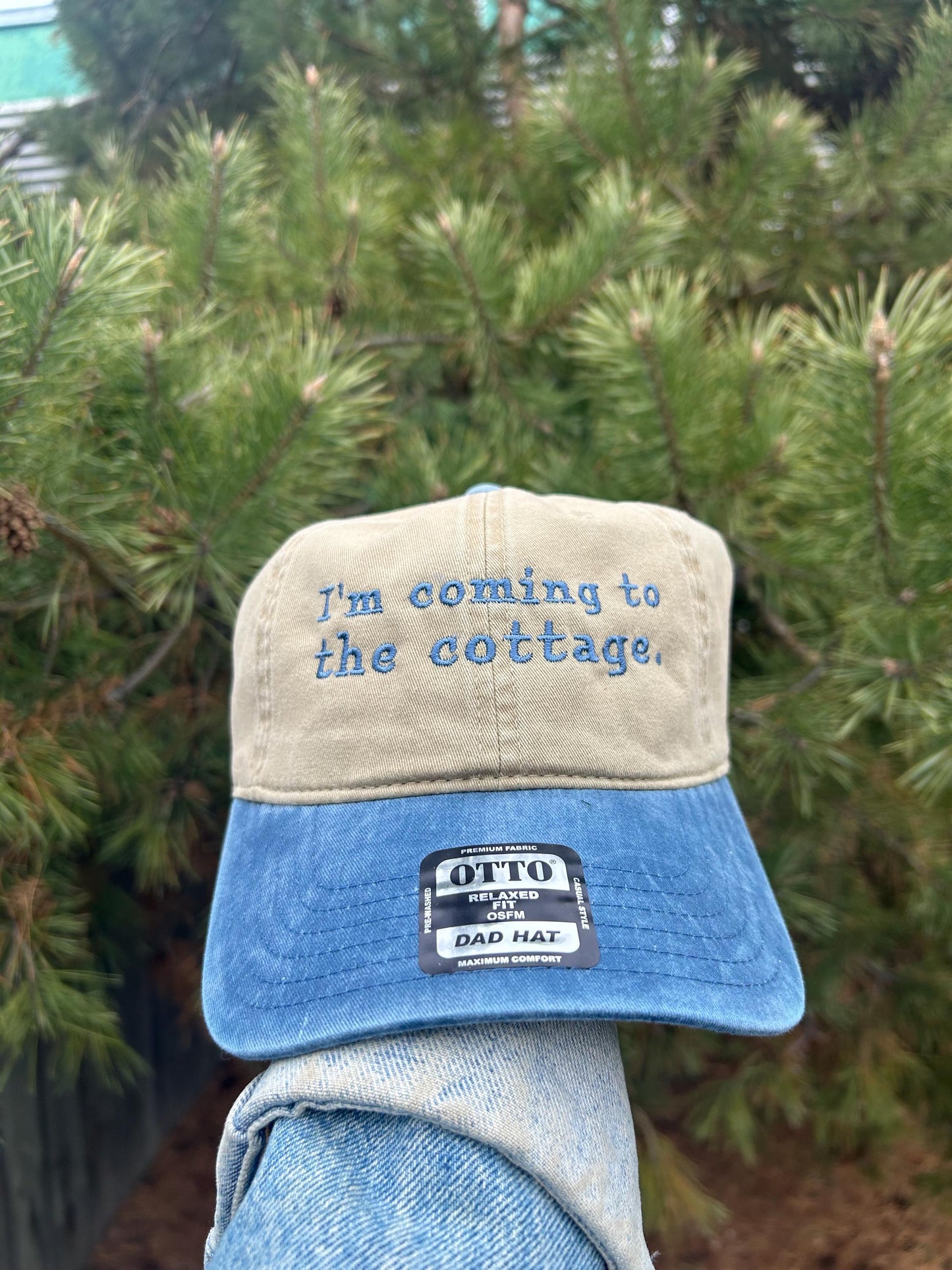 Im coming to the cottage Heated Rivalry Fan Dad Hat baseball Cap