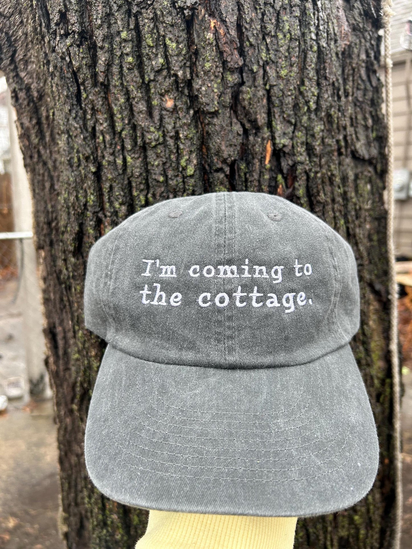 Im coming to the cottage Heated Rivalry Fan Dad Hat baseball Cap