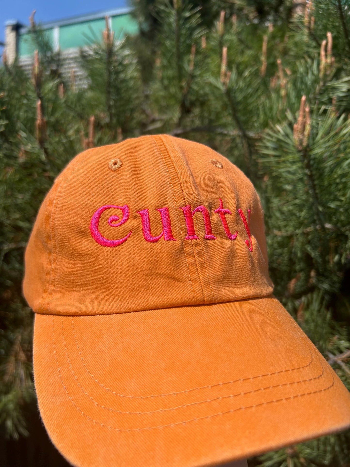 Cunty Dad Hat Baseball Cap – Pride Statement Accessory