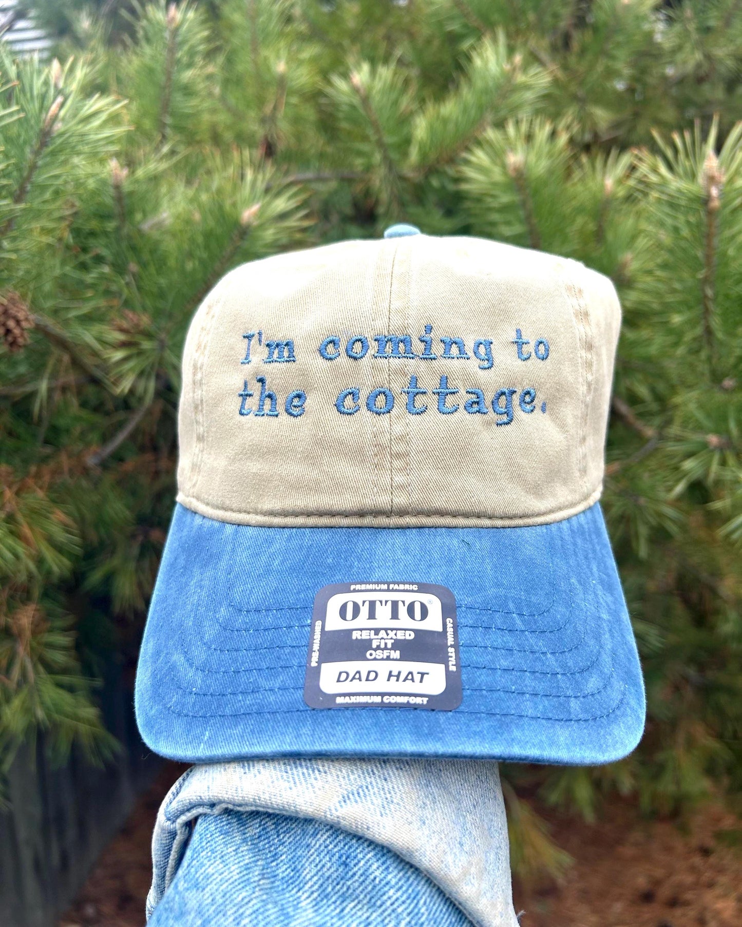 Im coming to the cottage Heated Rivalry Fan Dad Hat baseball Cap