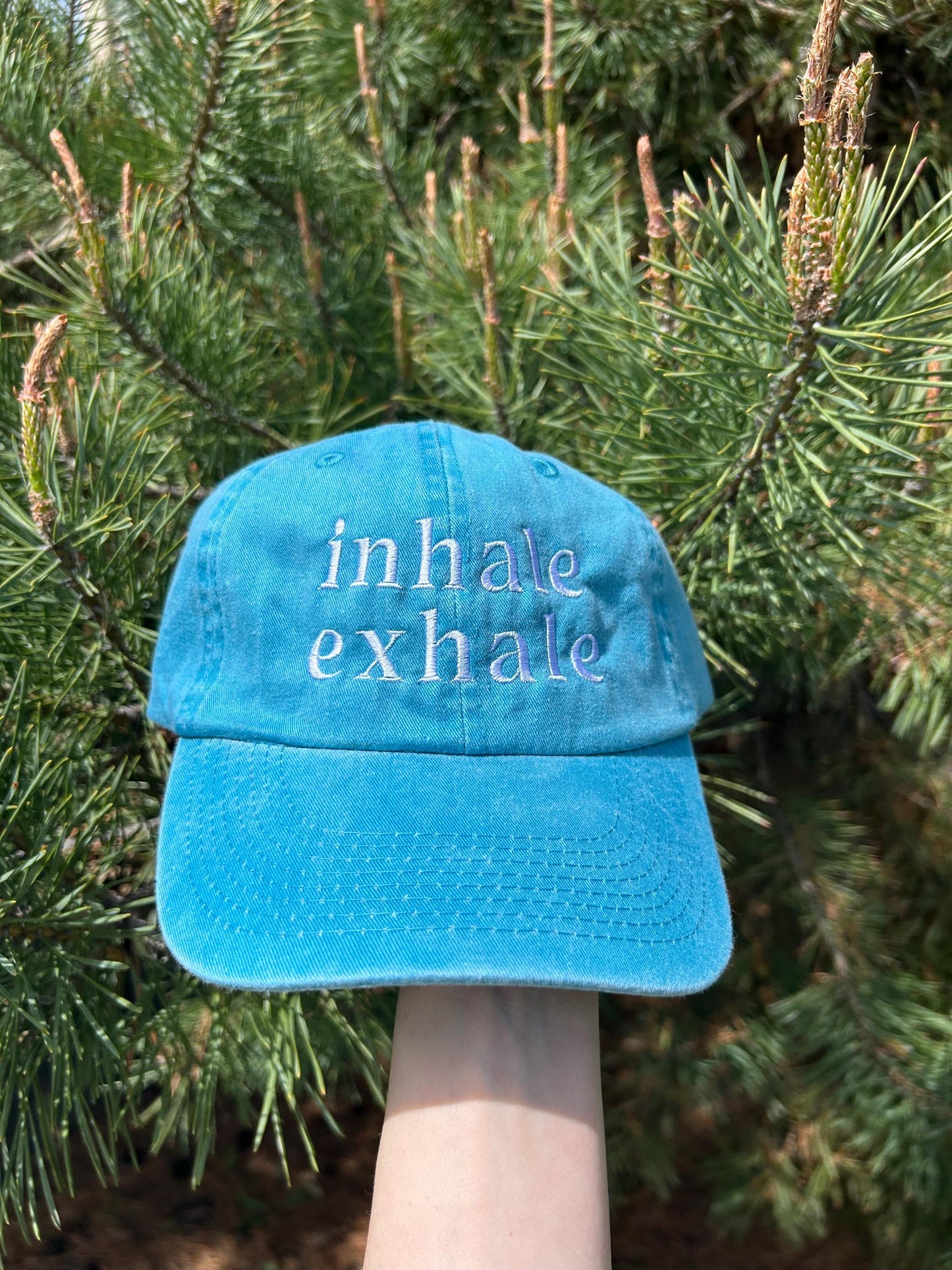 Hydrate and Inhale Exhale Dad Hat baseball Cap